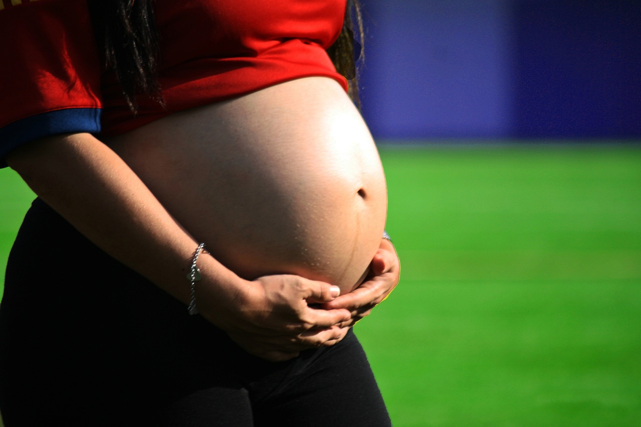 pregnancy, belly, mother, maternal, pregnant, woman, stomach, pregnancy, pregnancy, pregnancy, pregnancy, pregnancy, pregnant, stomach